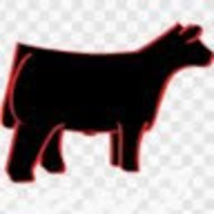 Meet your Posher, Reese